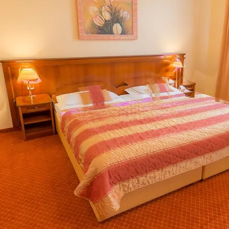 Ensana Centralni Lazne - Maria Mariënbad