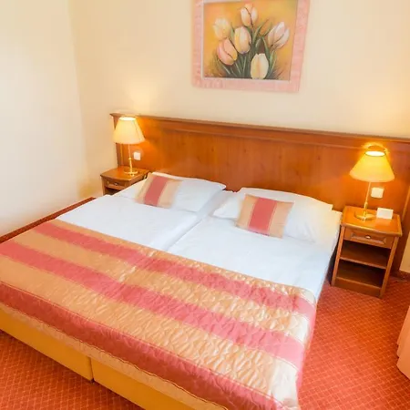 Hotel Ensana Centralni Lazne - Maria Mariënbad