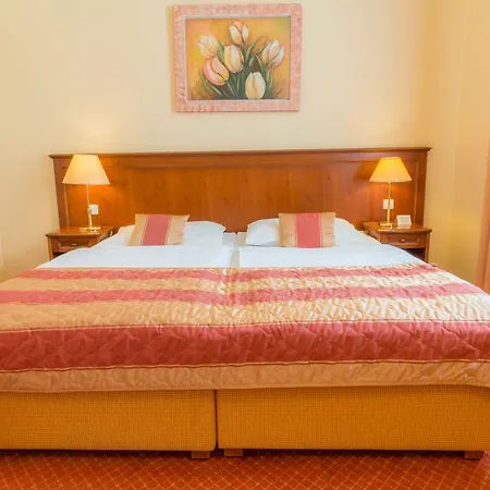 Hotel Ensana Centralni Lazne - Maria Mariënbad