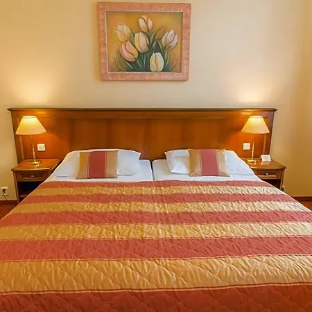 Ensana Centralni Lazne - Maria 4* Mariánské Lázně