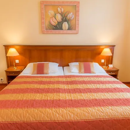 Hotel Ensana Centrální Lázně - Maria 4*