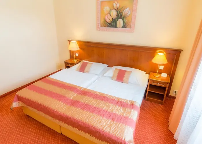 Hotel Ensana Centralni Lazne - Maria Mariánské Lázně