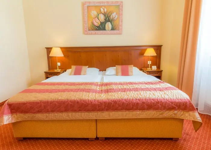 Hotel Ensana Centralni Lazne - Maria Mariánské Lázně